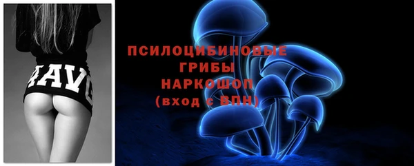 соль ск Вяземский