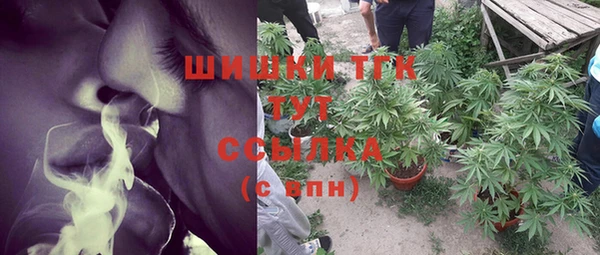 хмурый Вязьма