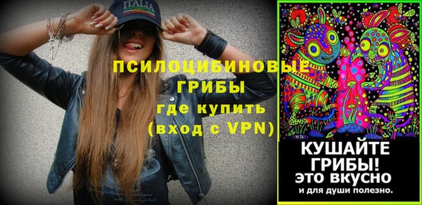 соль ск Вяземский